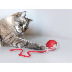 Catch Me Cat - kattelegetj