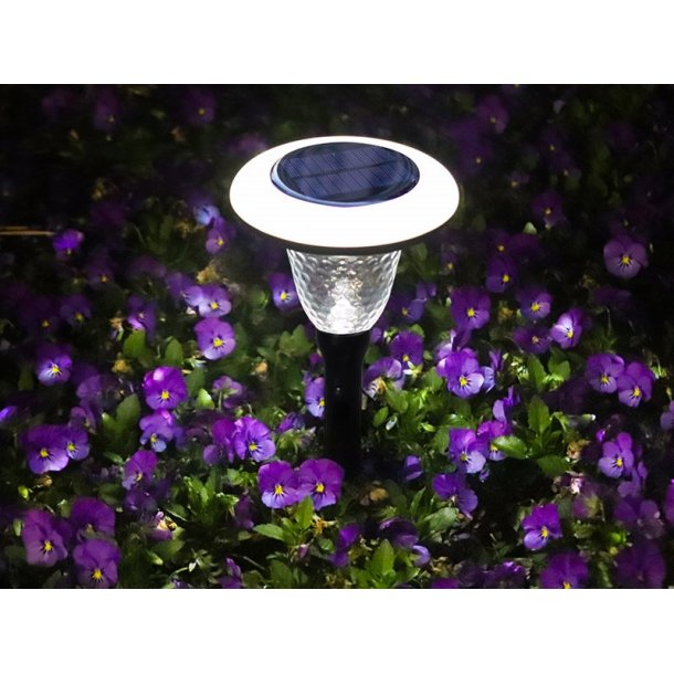 LED Solar Crystal Garden Glow
