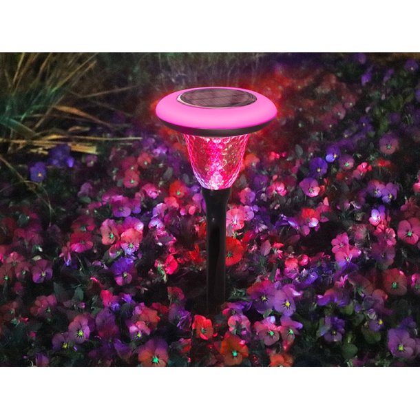 LED Solar Crystal Garden Glow