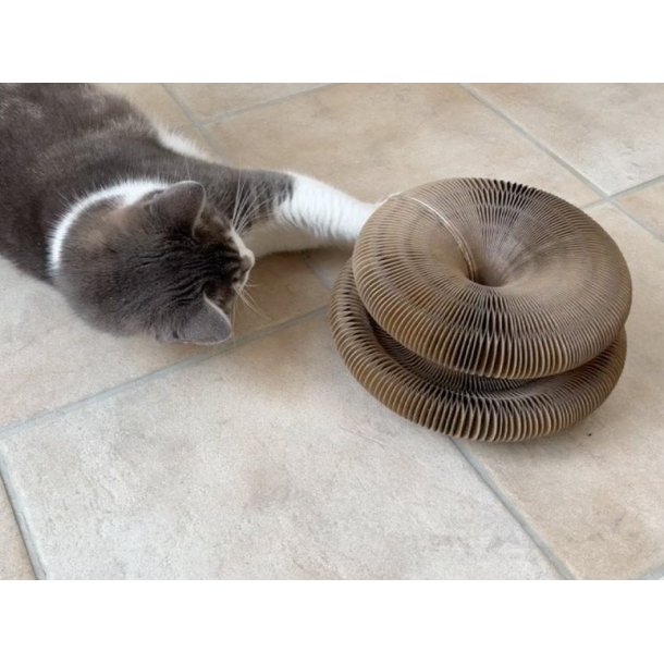 Kattekarrusel - kradselegetj med lydbold