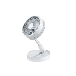 The fan