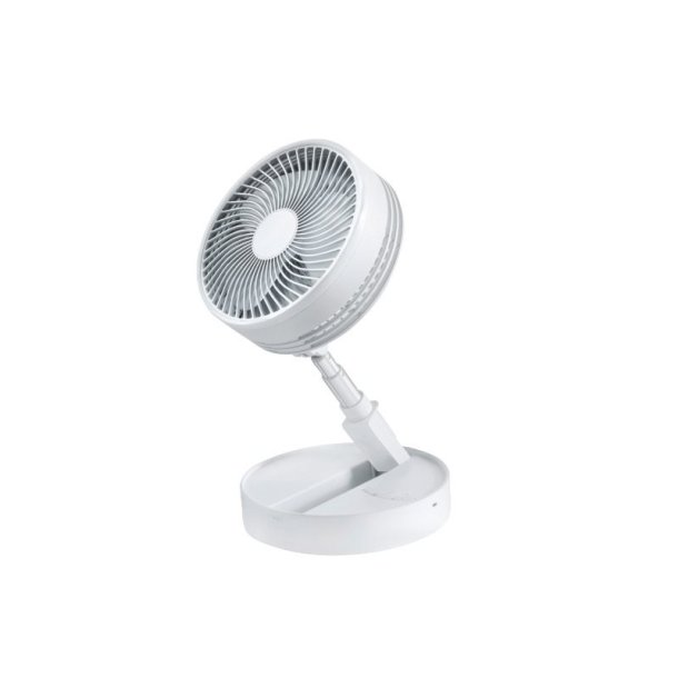 The fan
